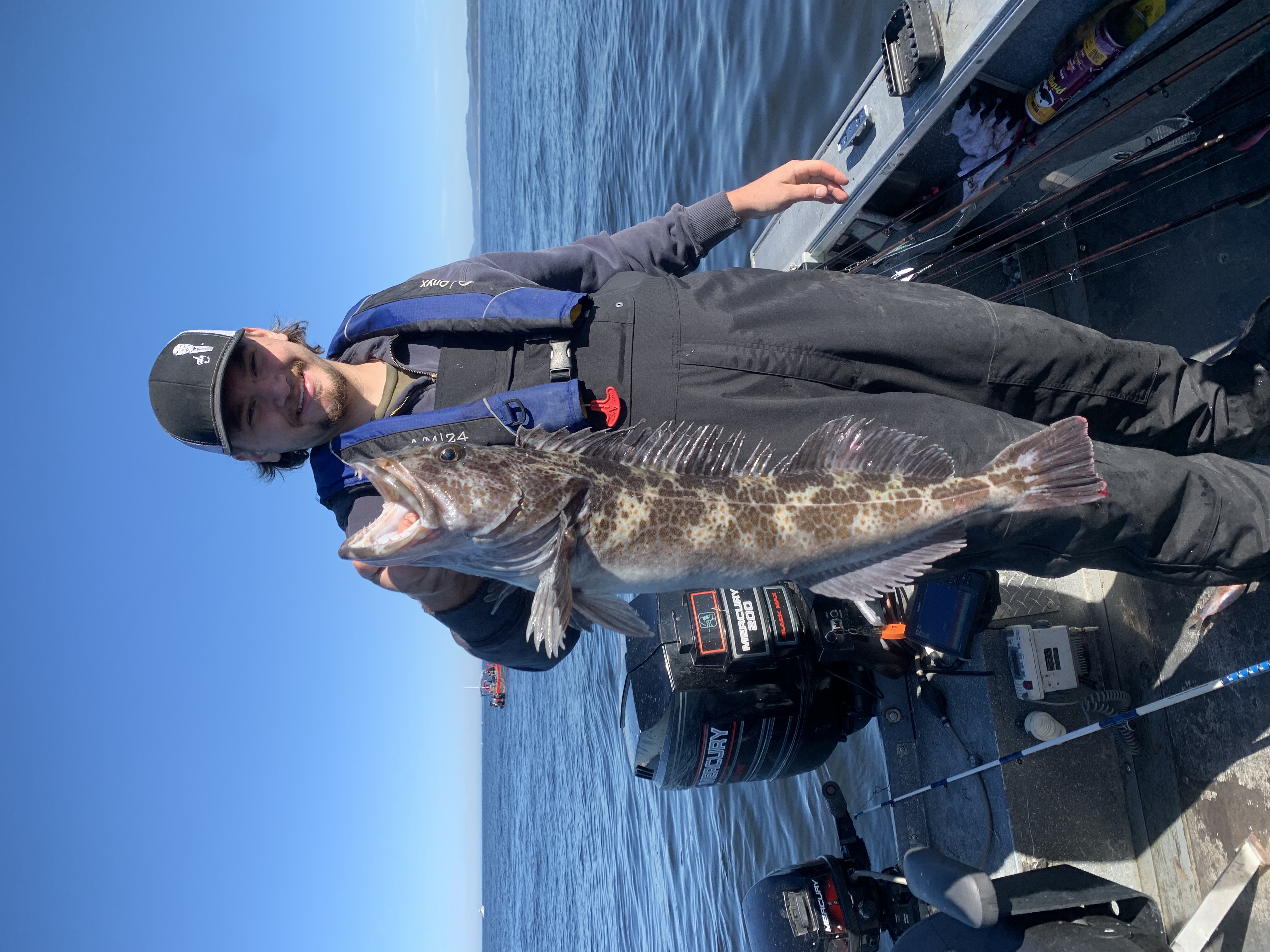 Lingcod fish caught in OR