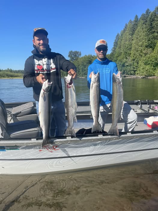 Coho salmon fishing catch displayed on boat in Toledo WA