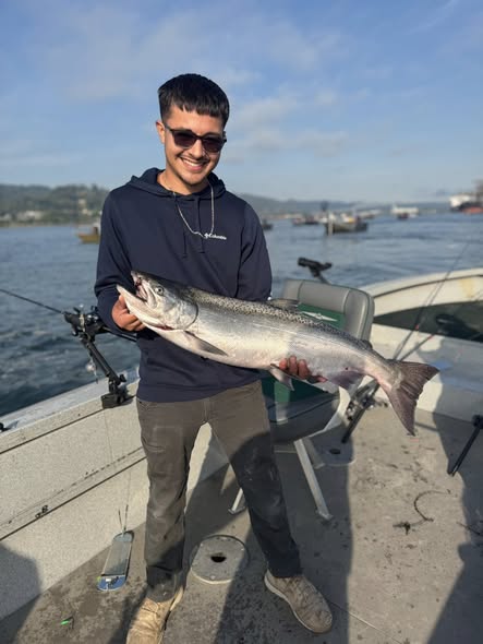 Coho salmon catch displayed on fishing boat in Toledo WA