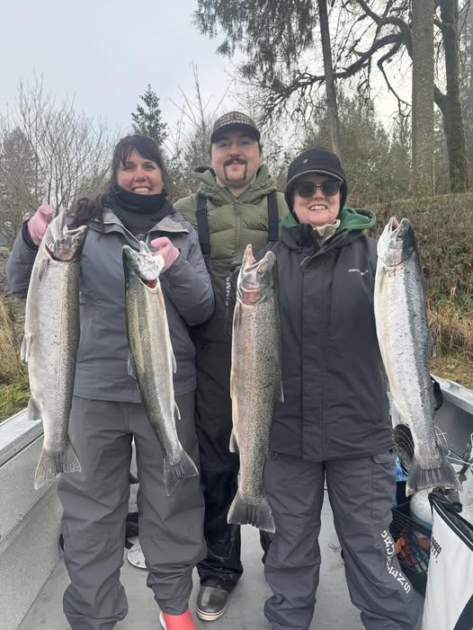 Four large rainbow trout and coho salmon caught fishing in Toledo WA