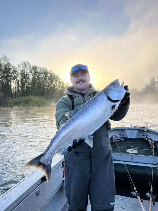 Large Chinook salmon caught fishing in Toledo WA on boat at sunrise