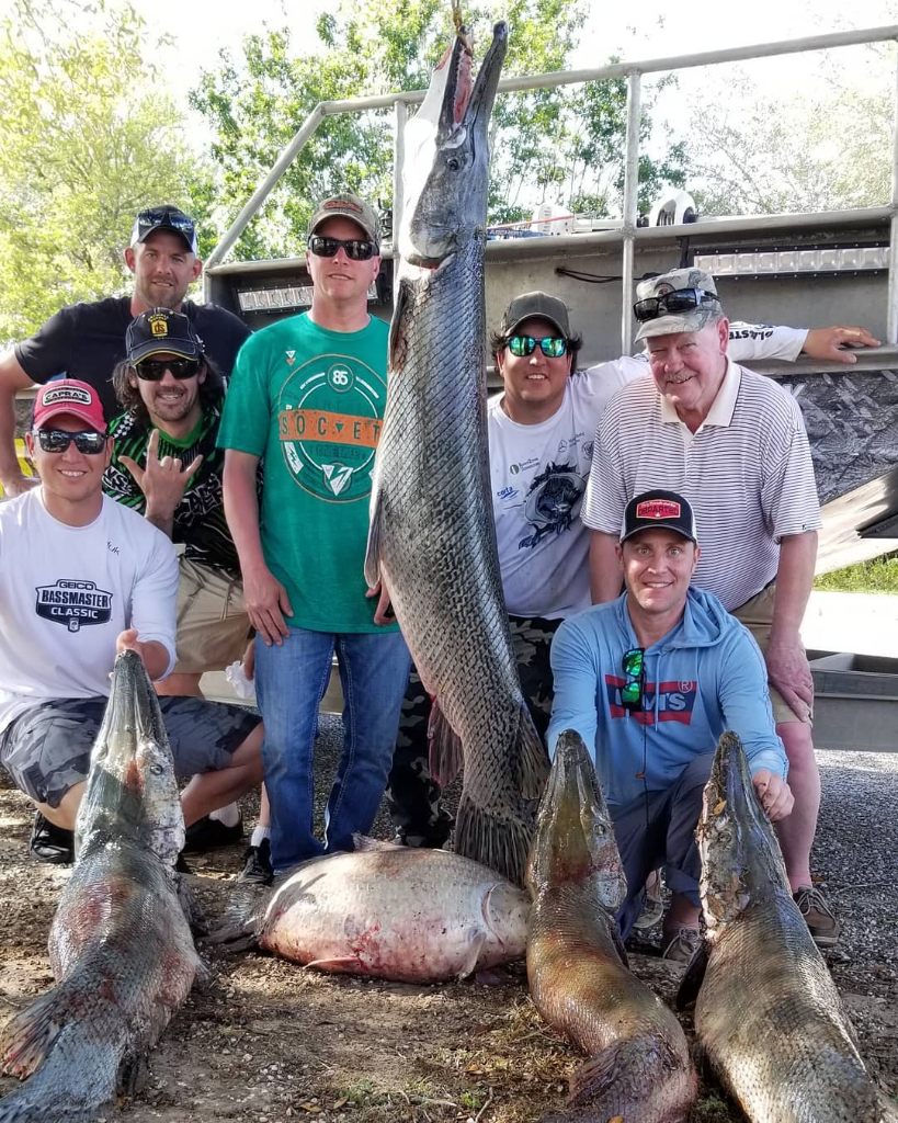 5 fish caught by 7 people in Hockley