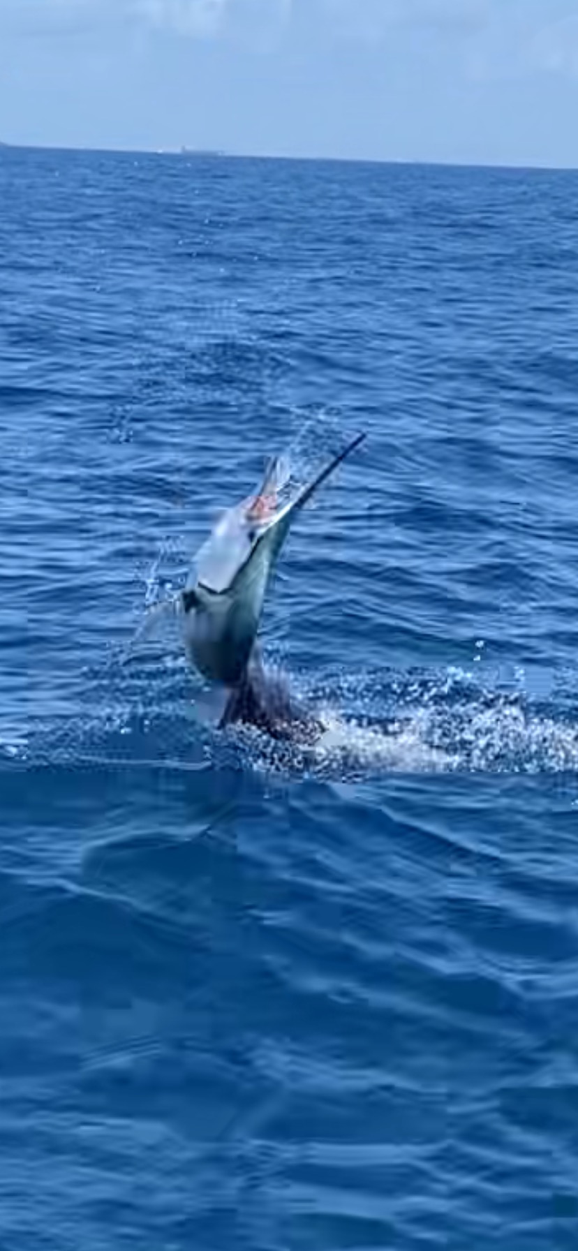 Fishing adventure in FL