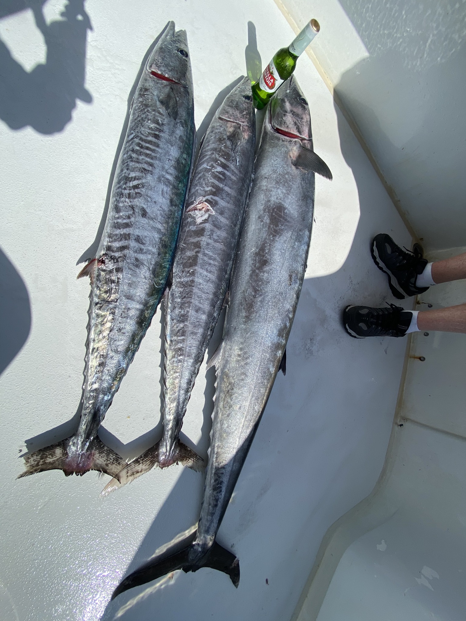 Two fishermen enjoying a day of fishing in FL