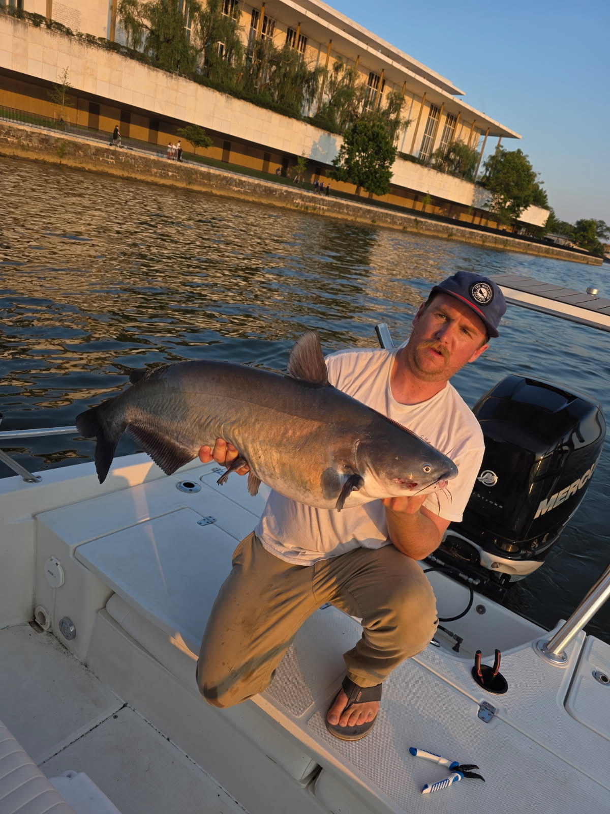 A lone blue catfish caught by a fisherman in Washington, D.C.