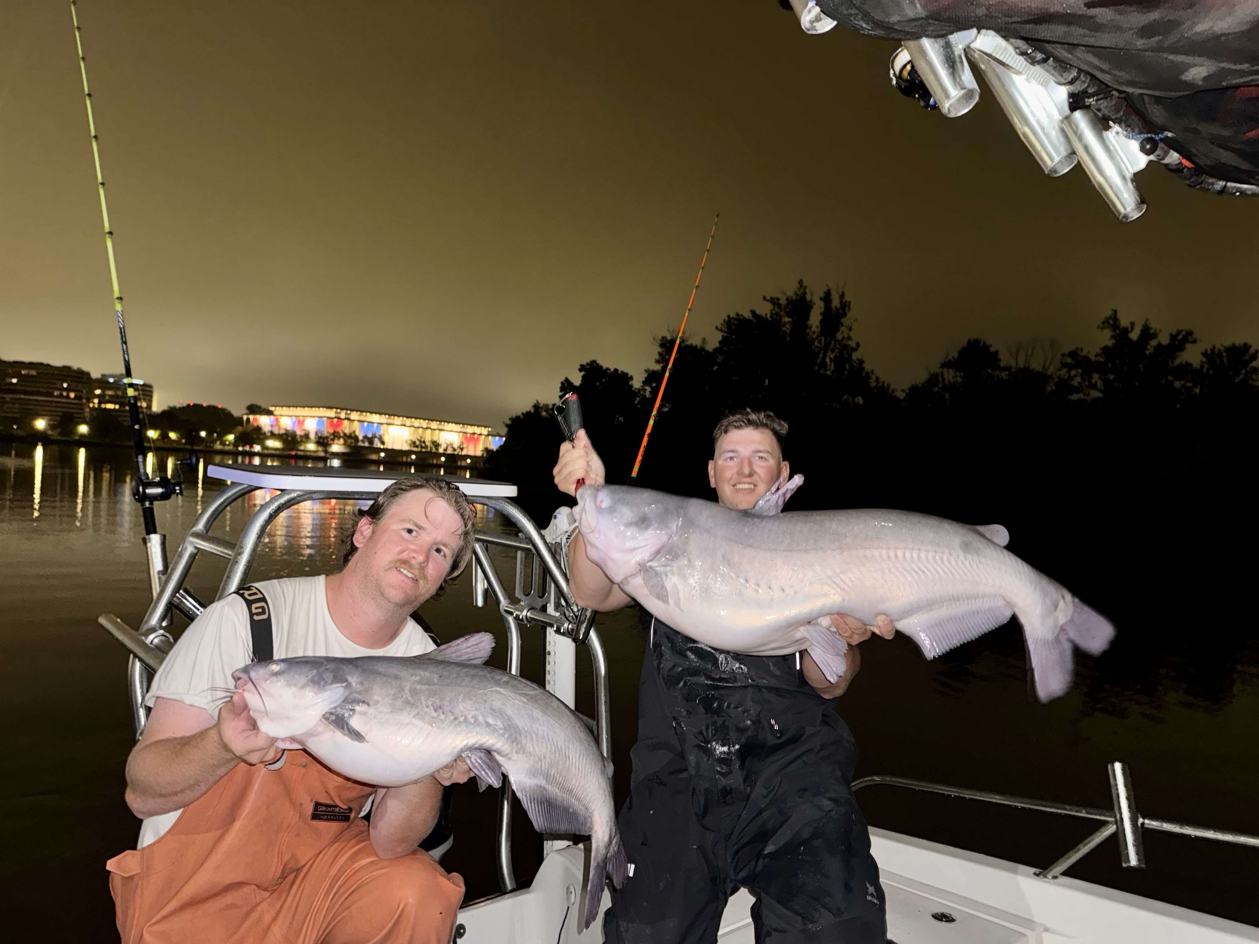 Two blue catfish caught while fishing in DC