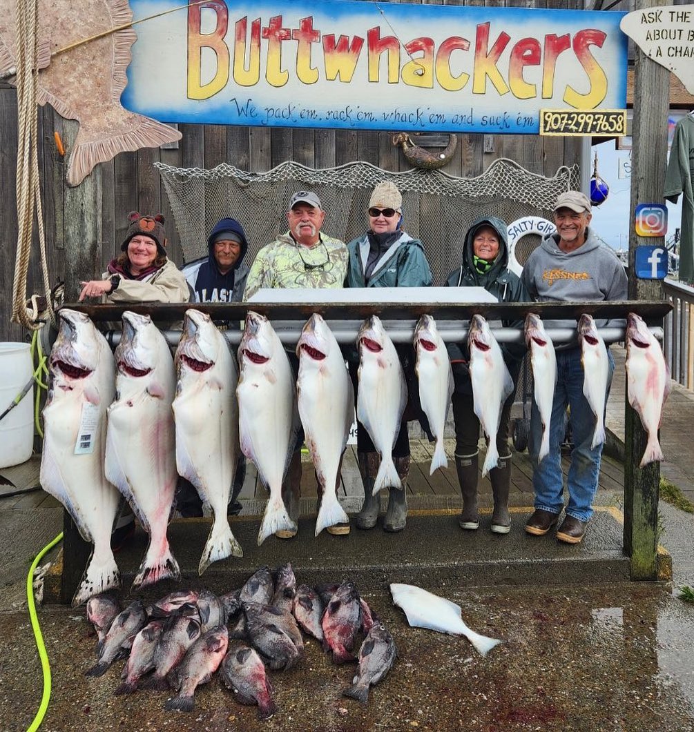 Fishing expedition in Homer with 12 big fish catch