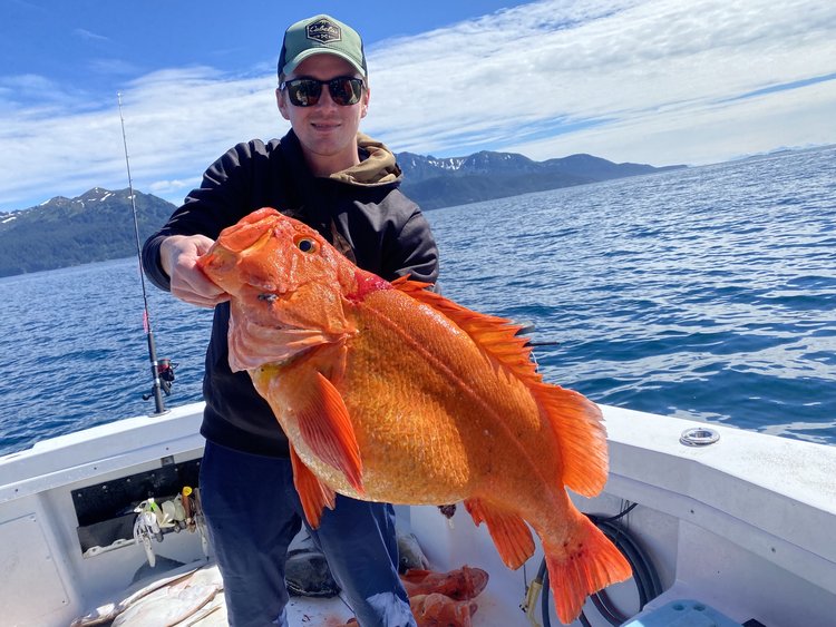 One angler fishing in Homer