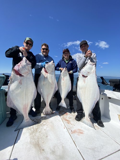 4 huge Pacific Halibut caught fishing in AK