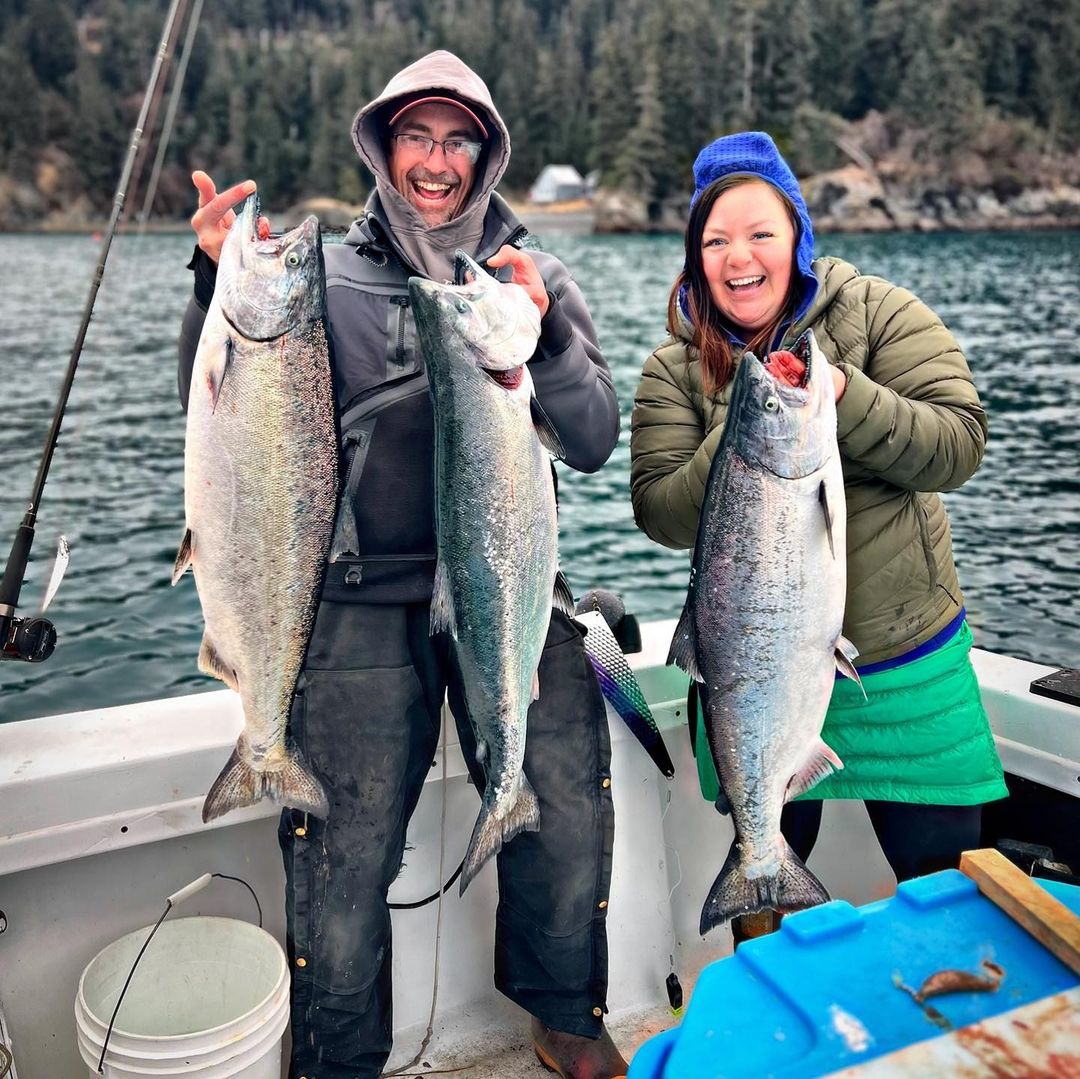 Three rainbow trout caught by two people in Homer, Alaska