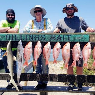 6 fishing rods with 6 huge fish caught in TX