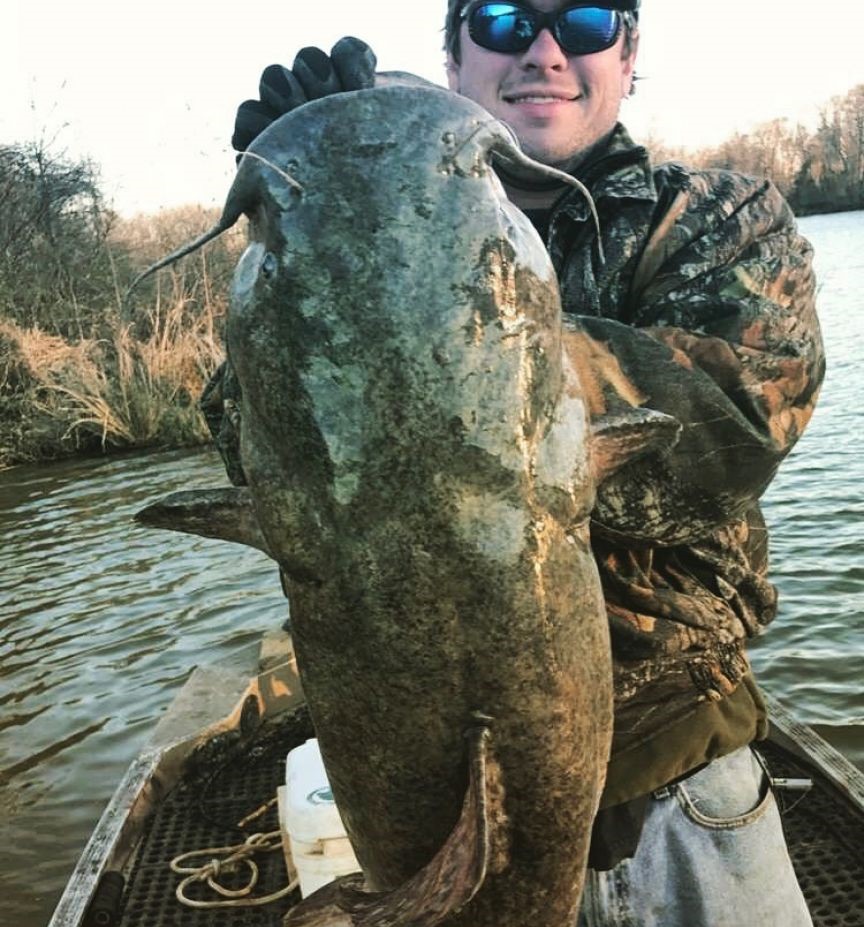 Flathead catfish caught by angler in AL