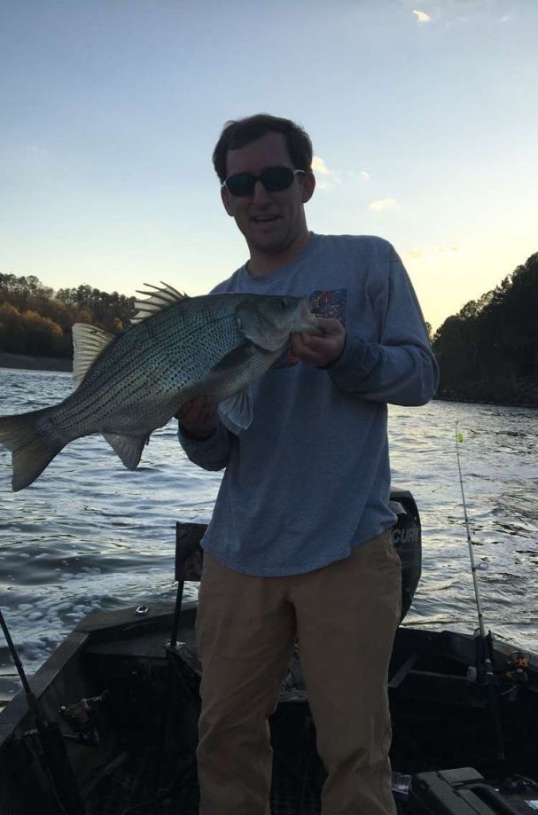 A white bass fish caught in AL