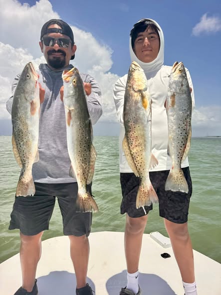 Four speckled trout caught fishing in Corpus Christi TX