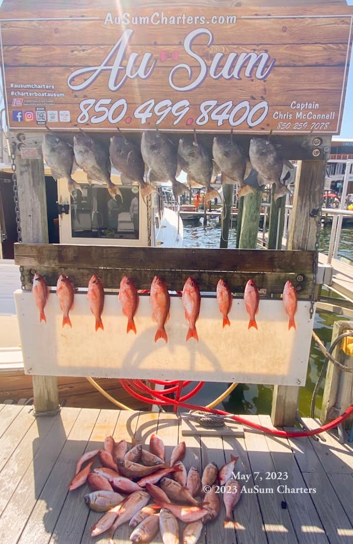 4 fish caught in FL while fishing
