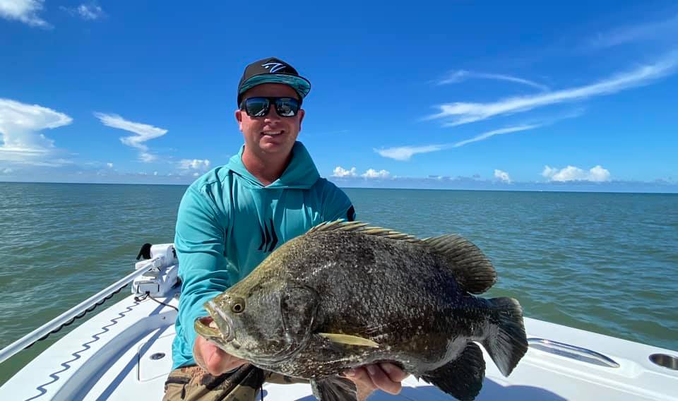 Tripletail fish caught while fishing on Captiva Island