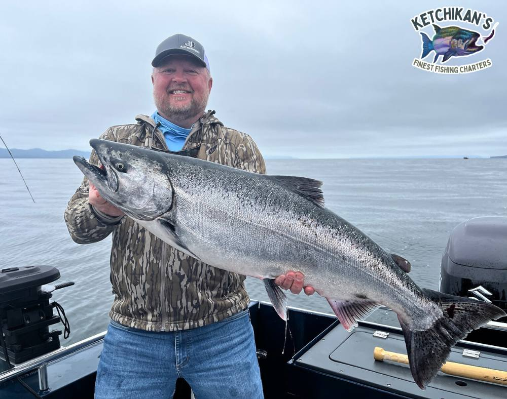 Chinook salmon, 37 inches, caught while fishing in Ketchikan