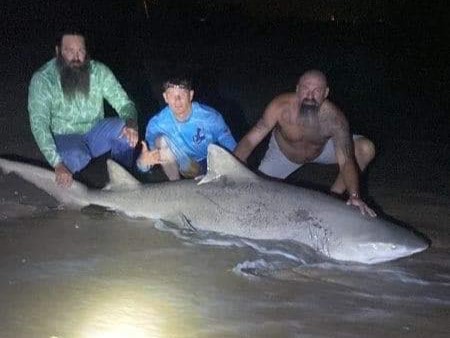 A photo of three people fishing for a bonnethead shark in Florida
