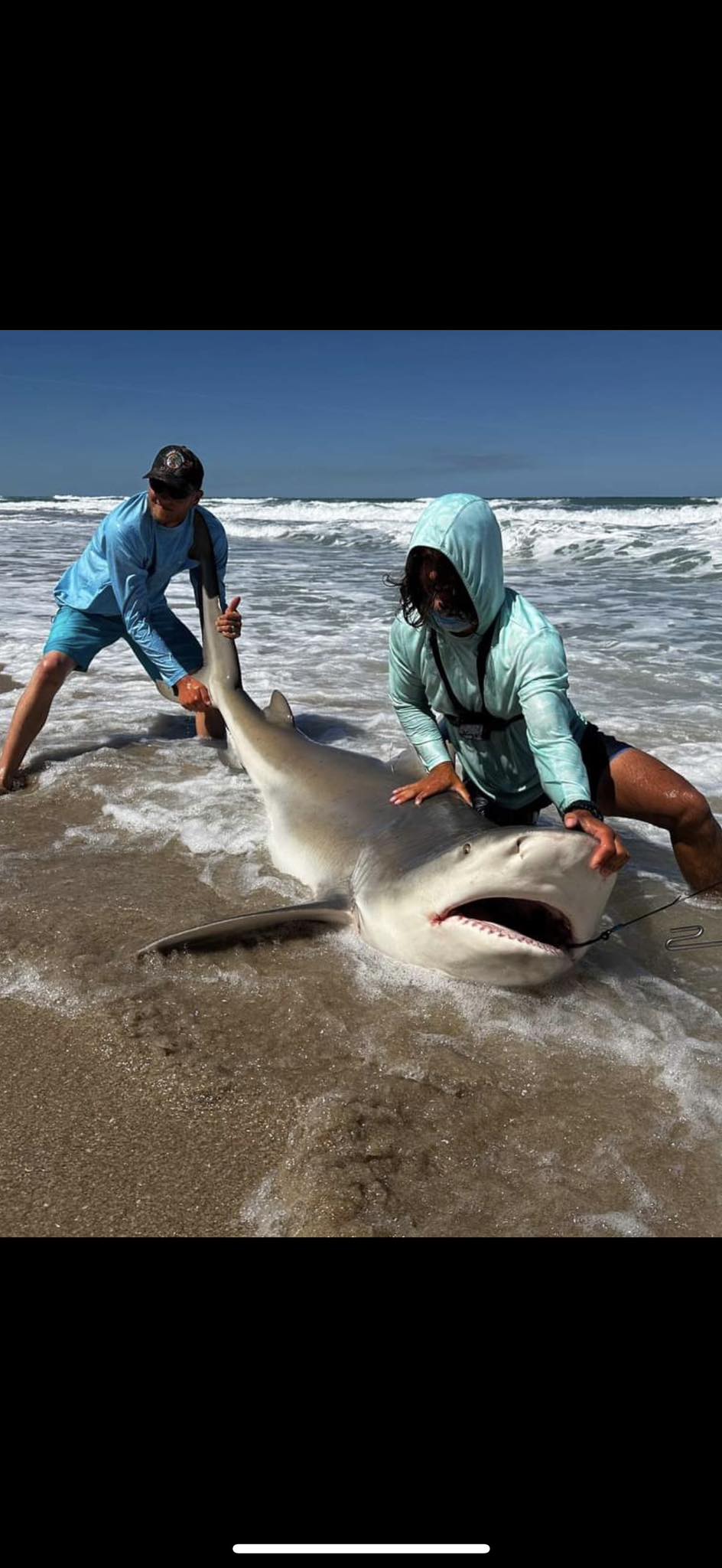 Bonnethead shark fishing in Florida