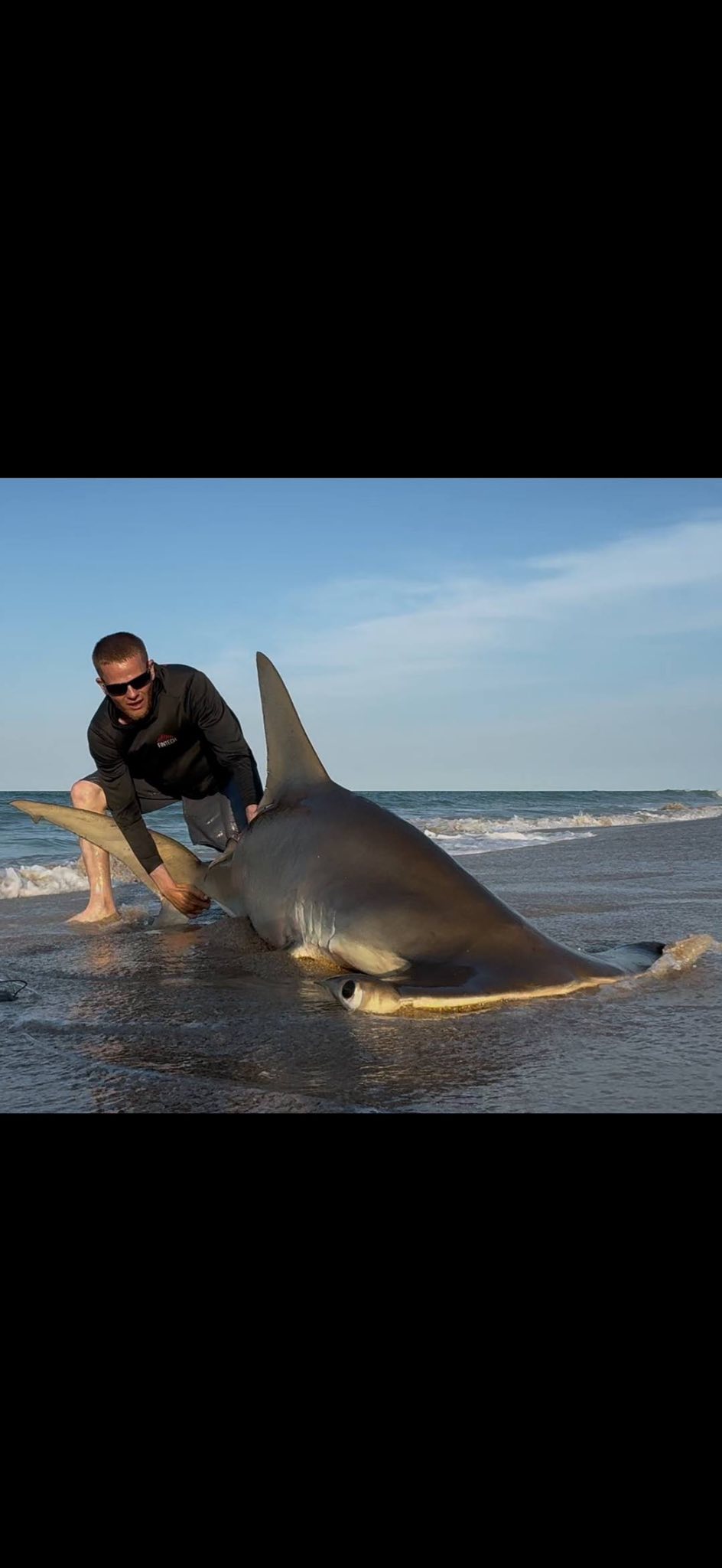 Sandbar shark caught while fishing at New Smyrna Beach