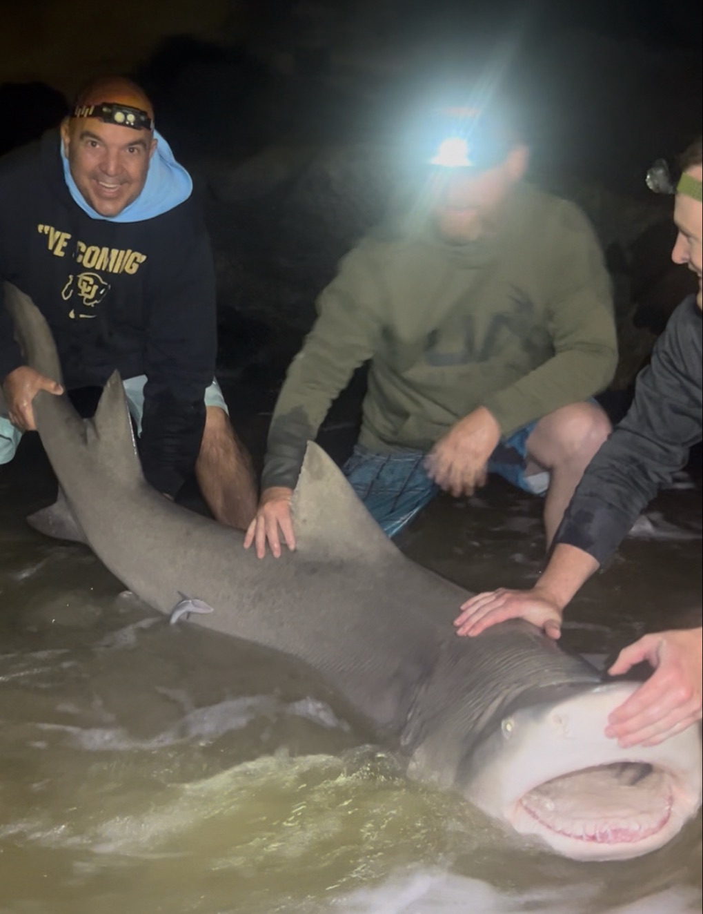 Shore-based shark fishing guide with gear at New Smyrna Beach during evening trip