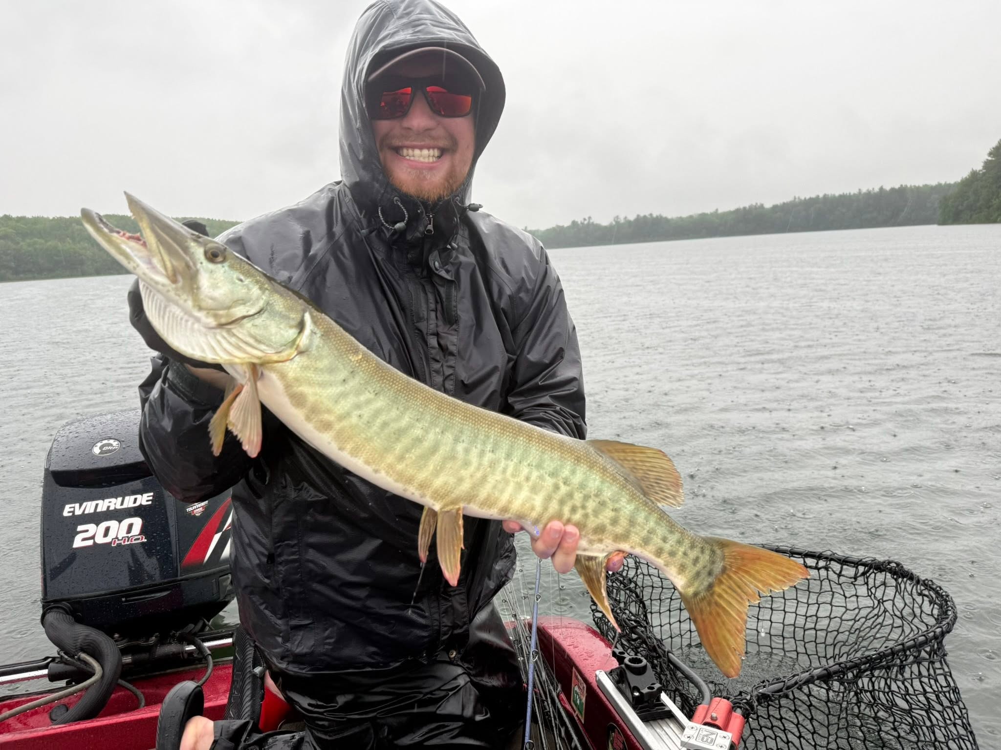 Muskellunge fishing catch displayed on boat in Minocqua WI waters
