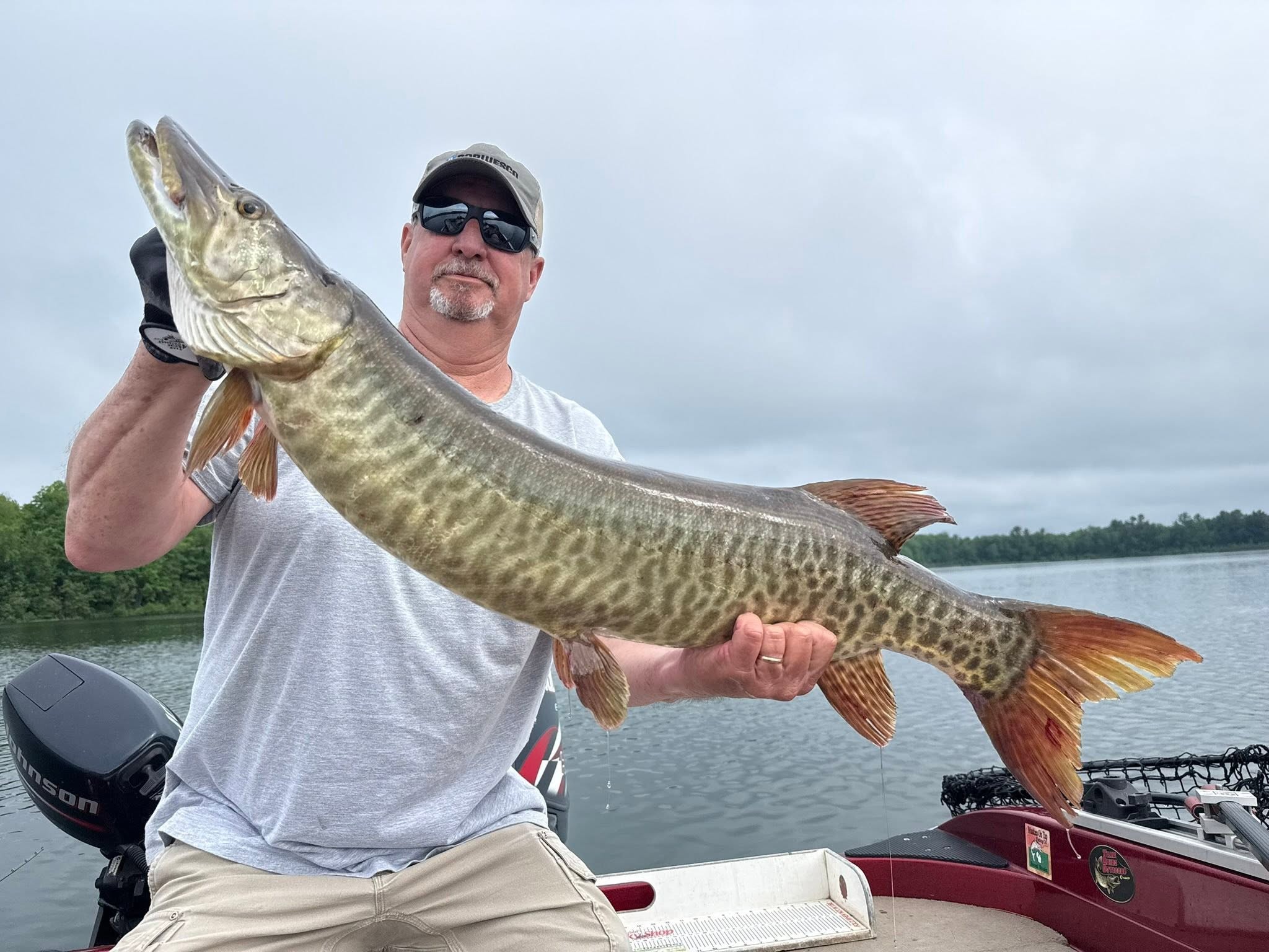 Muskellunge fish caught while fishing in Minocqua Wisconsin