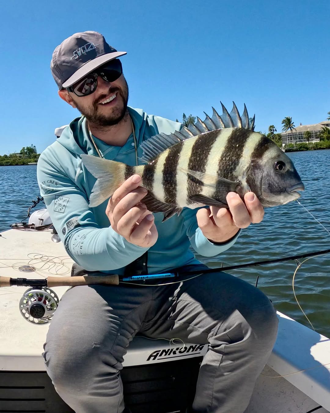 Sheepshead fish caught in FL