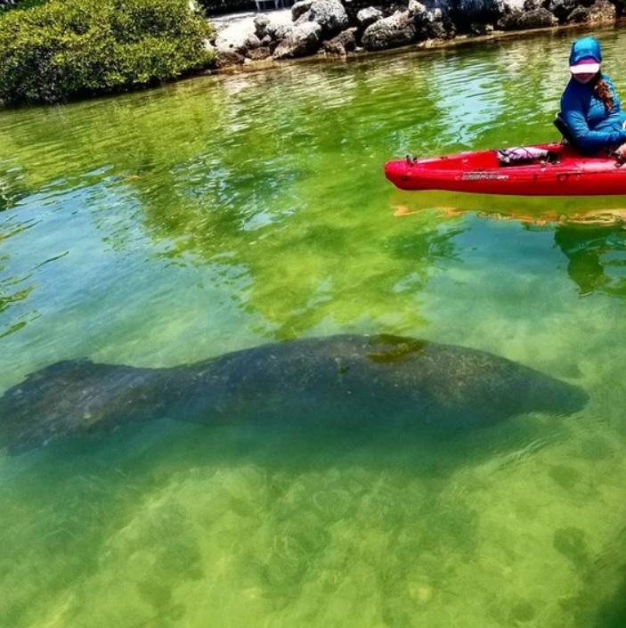 Breathtaking scenic view of Islamorada, Florida Keys