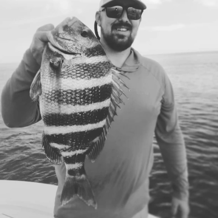 Sheepshead fish caught while fishing in FL