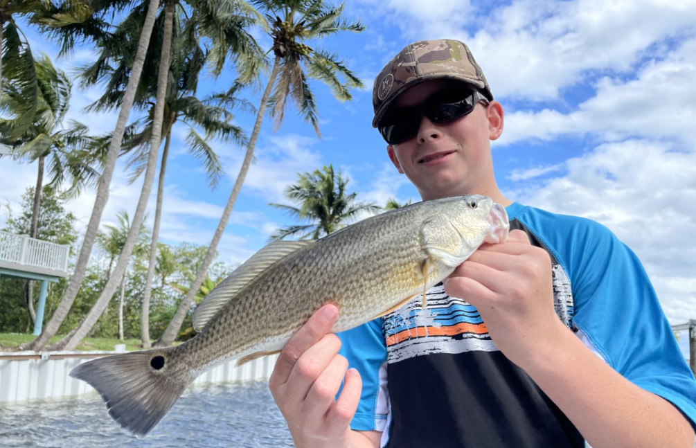 Redfish caught fishing at Jensen Beach
