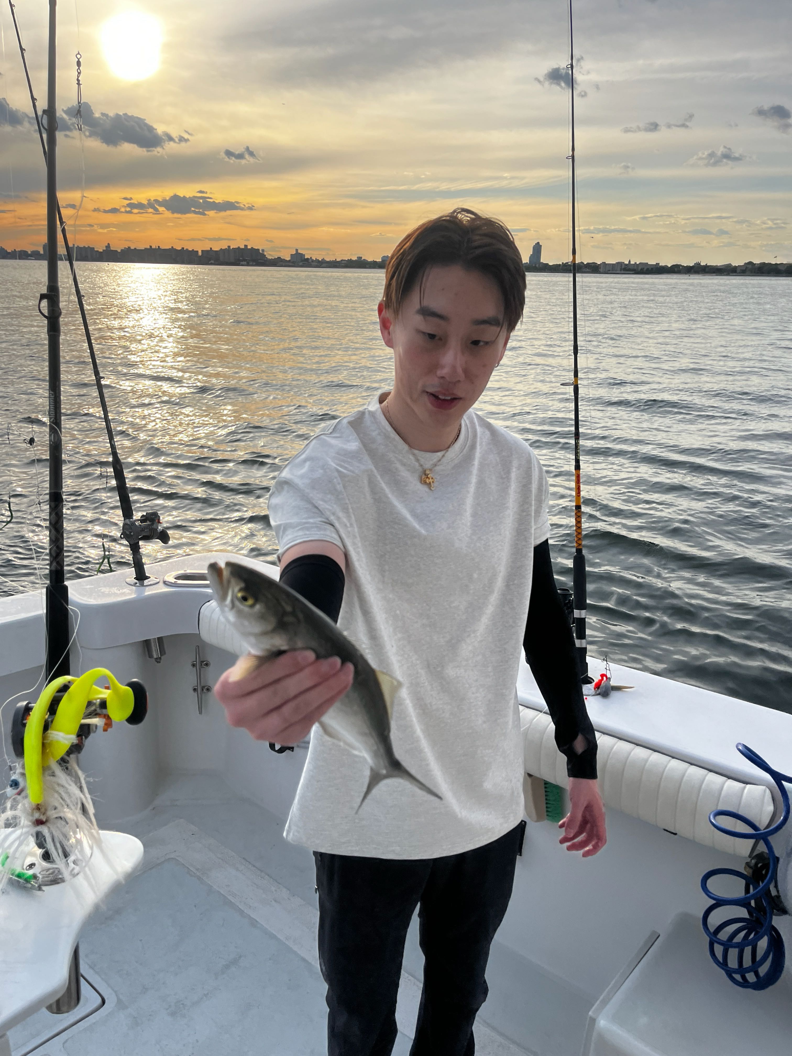 Bluefish catch on fishing boat in New York City waters