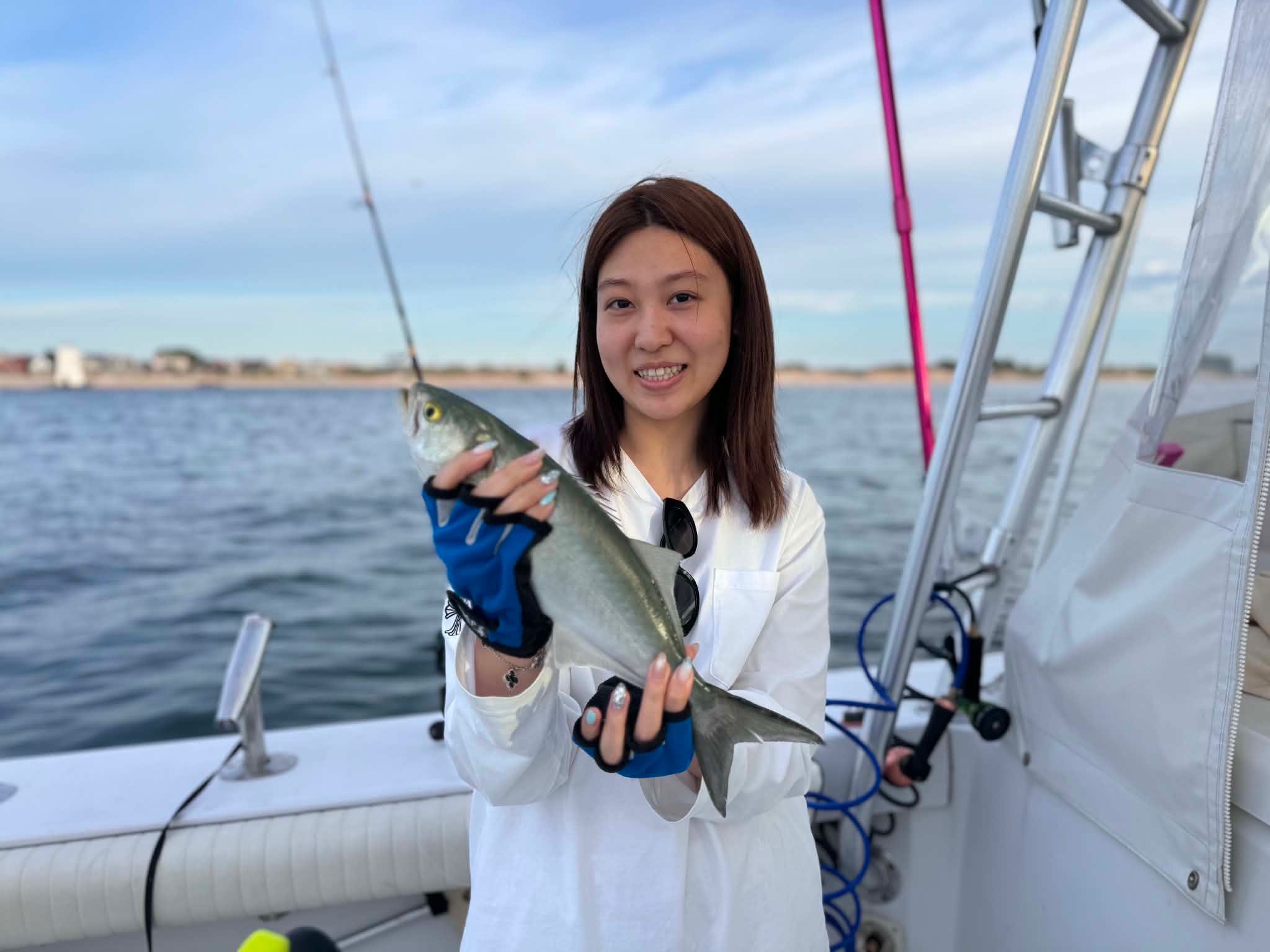 Freshly caught fish being held on fishing boat in New York City waters