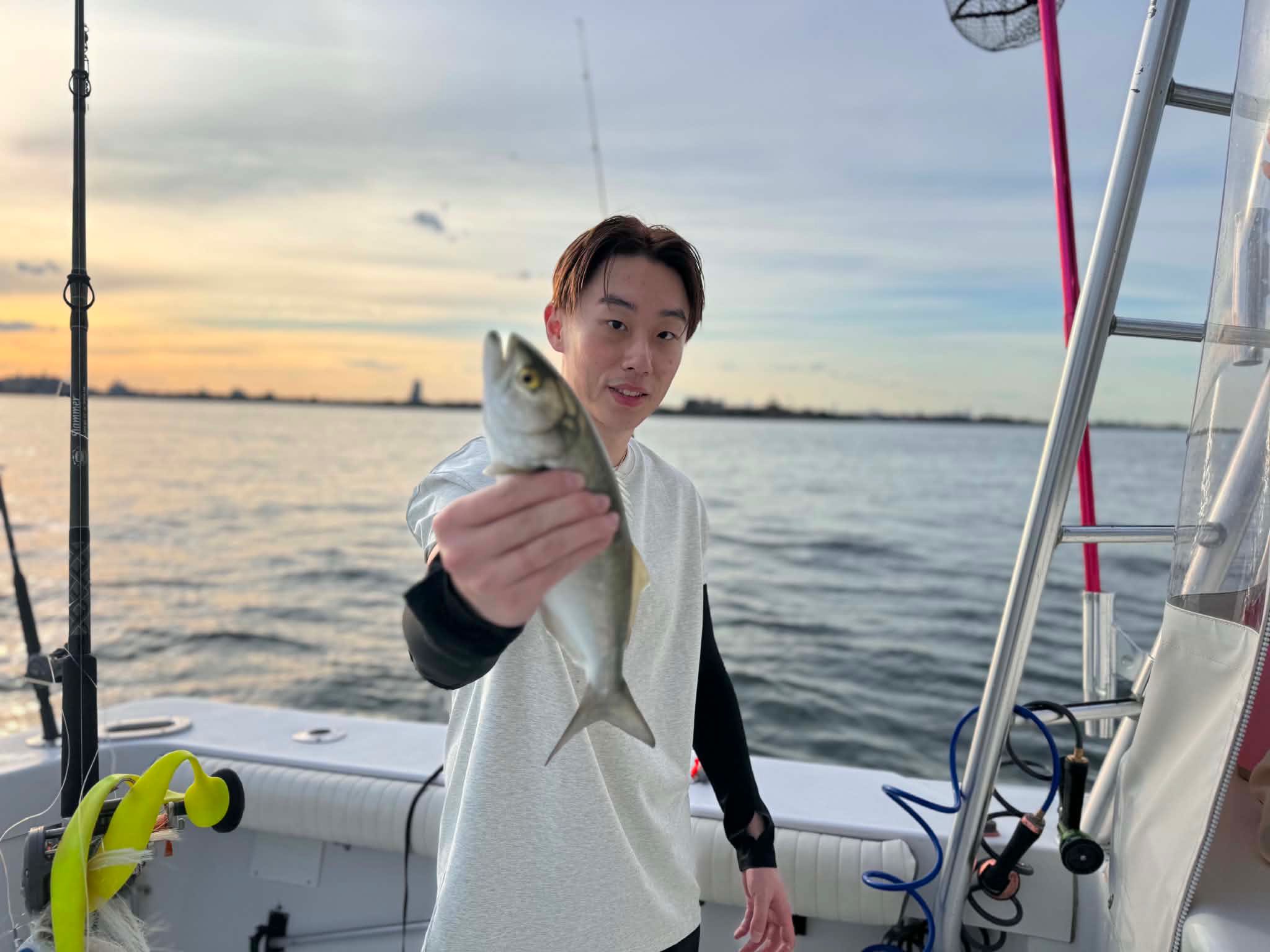 Bluefish caught during fishing trip in New York City waters