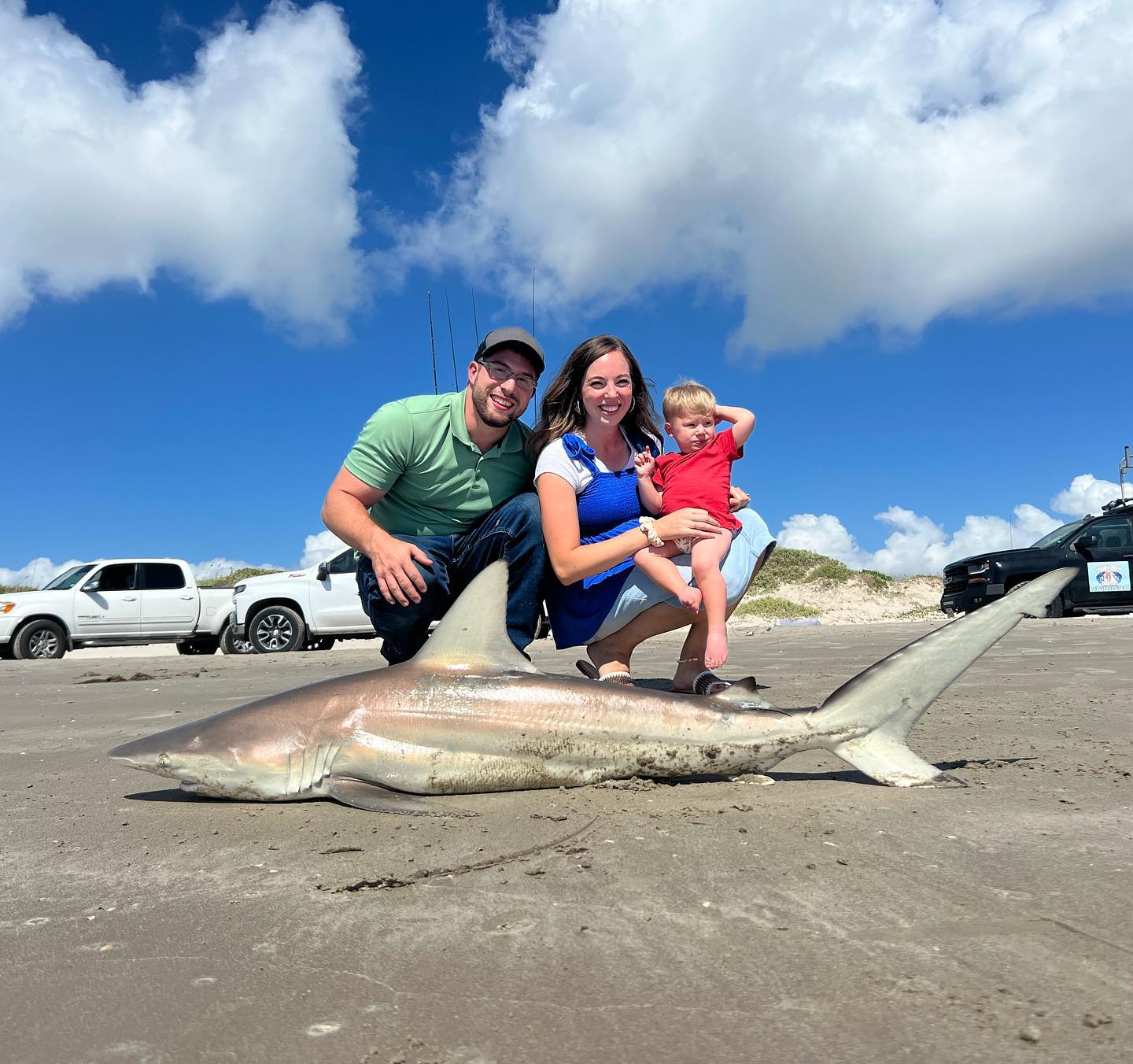 Blacktip shark fishing in TX
