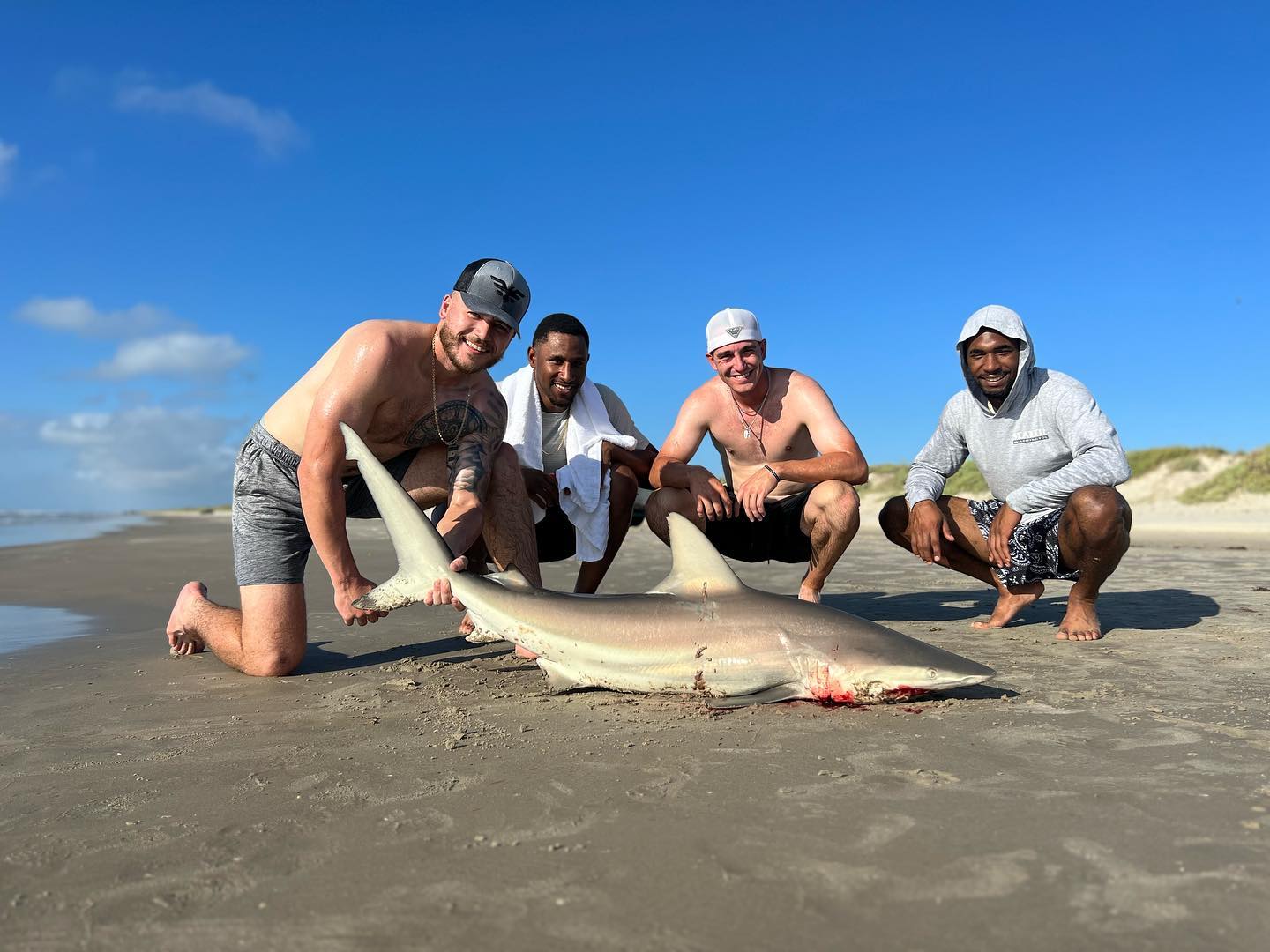 Blacktip Shark fishing in TX