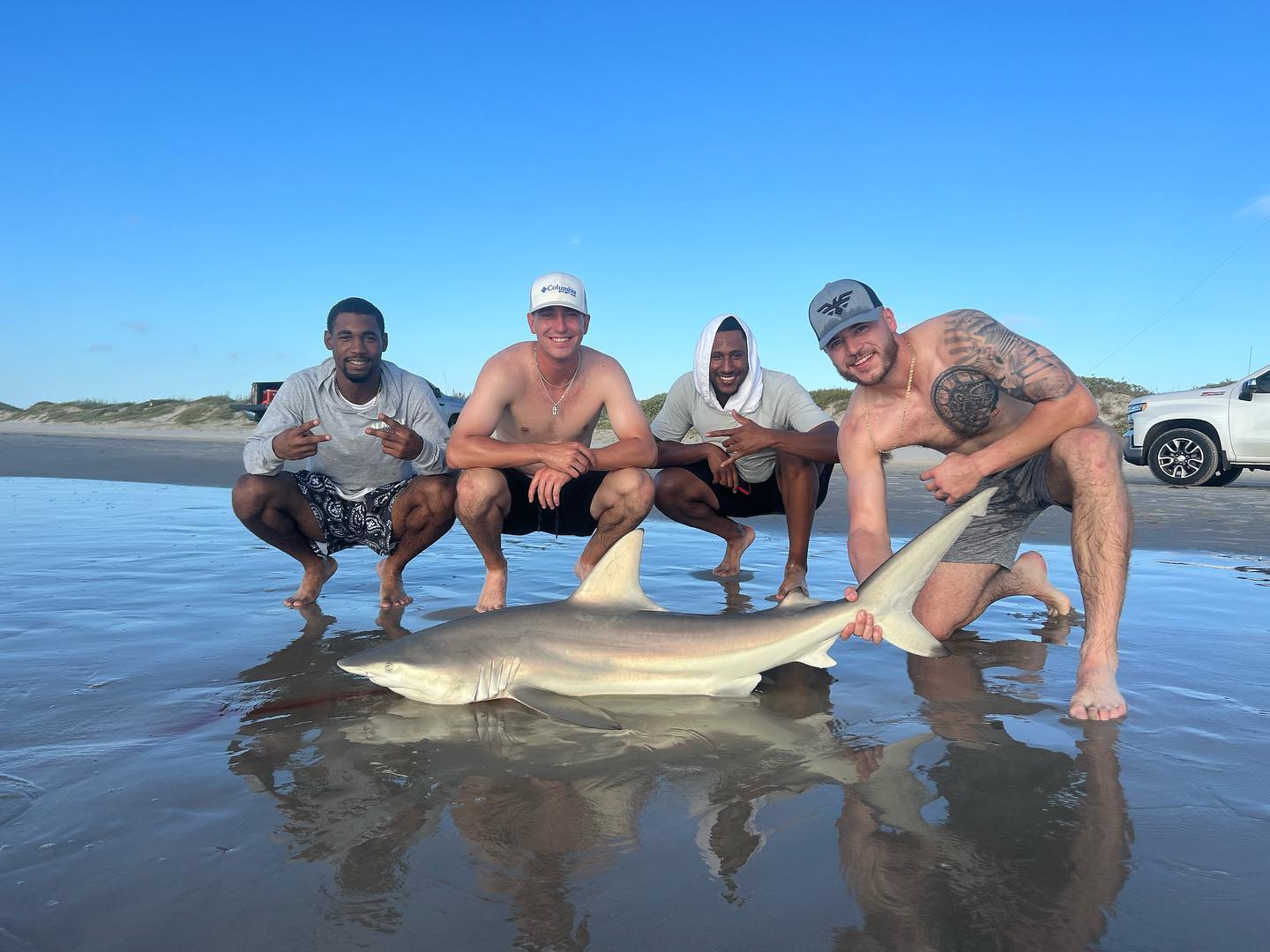 Blacktip Shark, 57 inches, fishing in TX