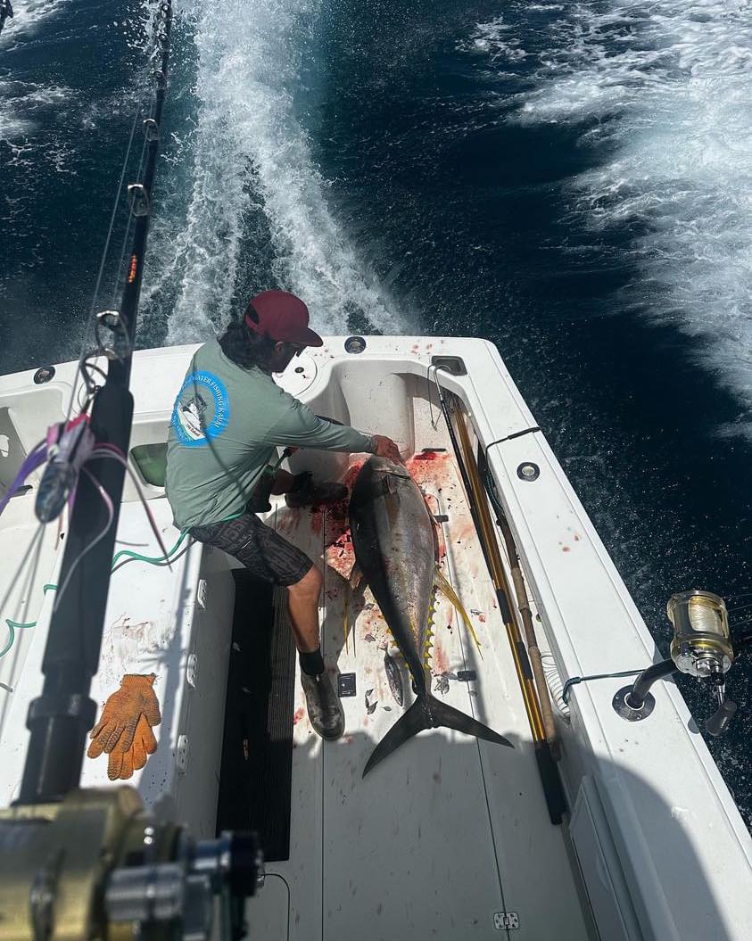 A photograph of a blackfin tuna fish caught while fishing in Hawaii.