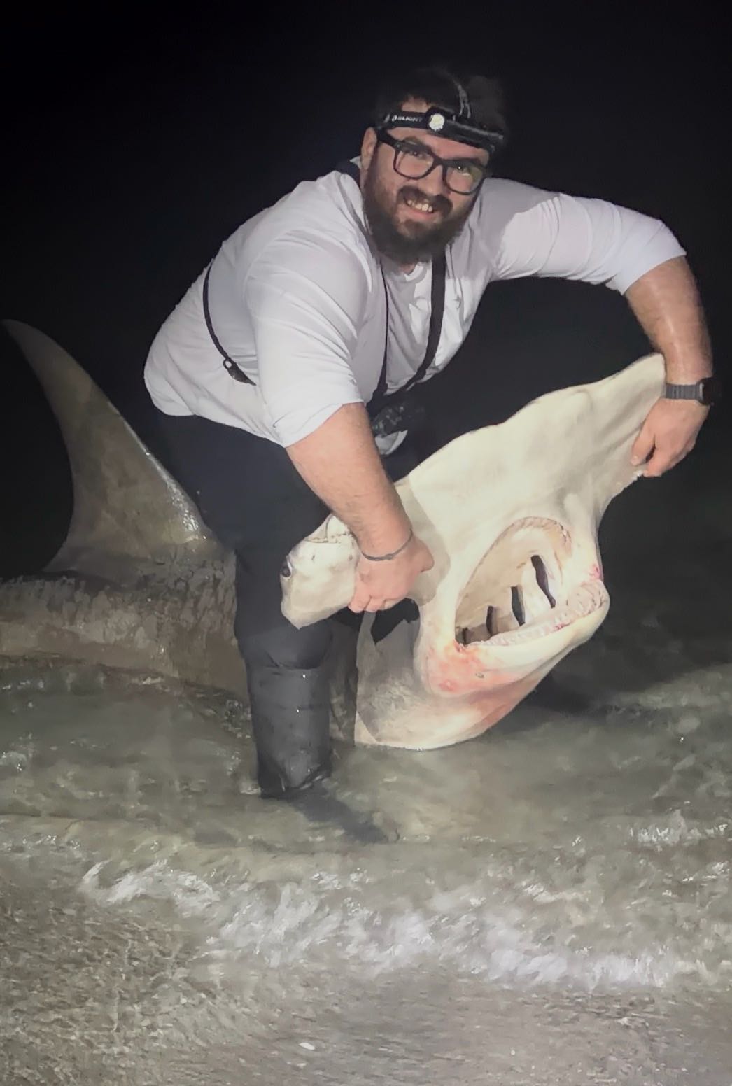 Large shark caught during night fishing in Sanibel FL waters