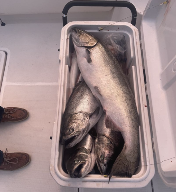 Two fish caught fishing in IL