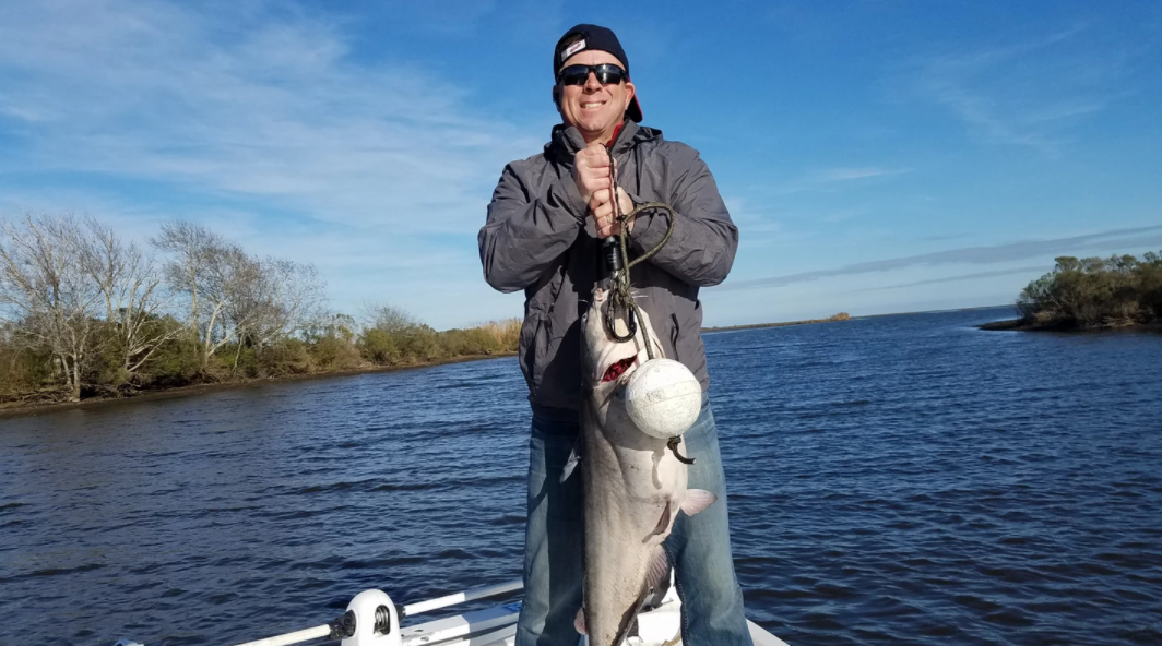 A single blue catfish measuring 23 inches caught in Belle Chasse