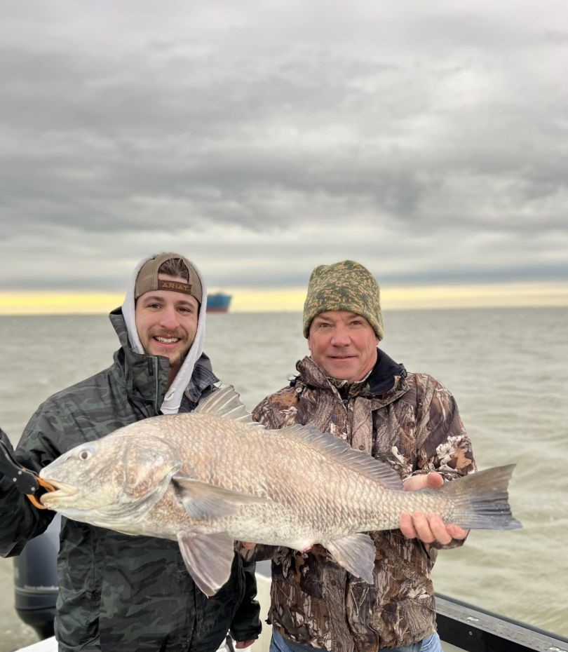 A black drum fish caught in TX
