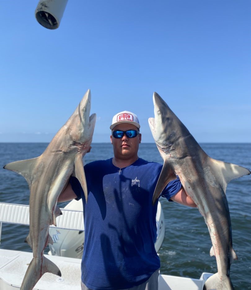 Two blacktip sharks caught while fishing in Galveston