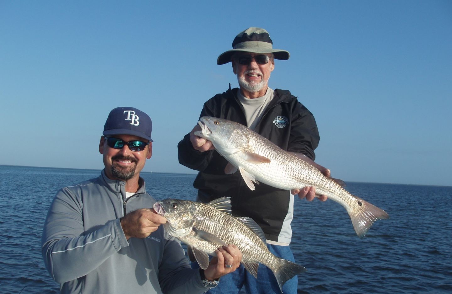 Two black drum fish caught in Oak Hill