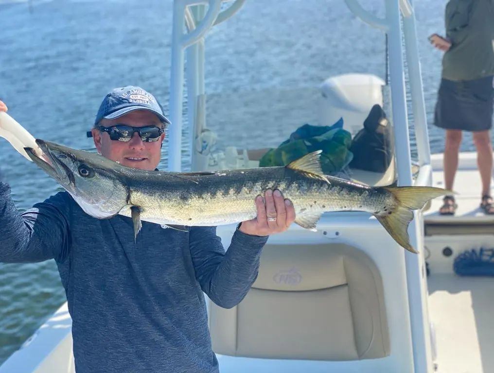 Great Barracuda, 30-inch fish caught while fishing in FL