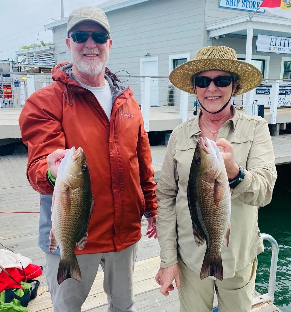 Two mangrove red snapper, 16 inch fish, fishing in Islamorada