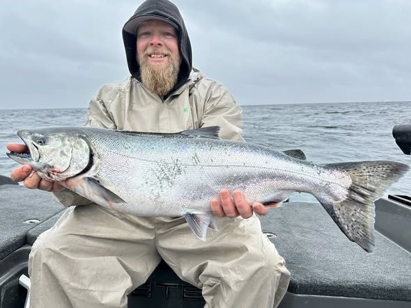 Chinook salmon catch from Traverse City Michigan fishing trip