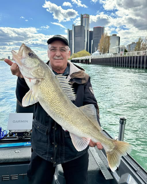 Large walleye caught while fishing in Traverse City MI with city skyline in background