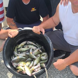 Fishing tours in OH
