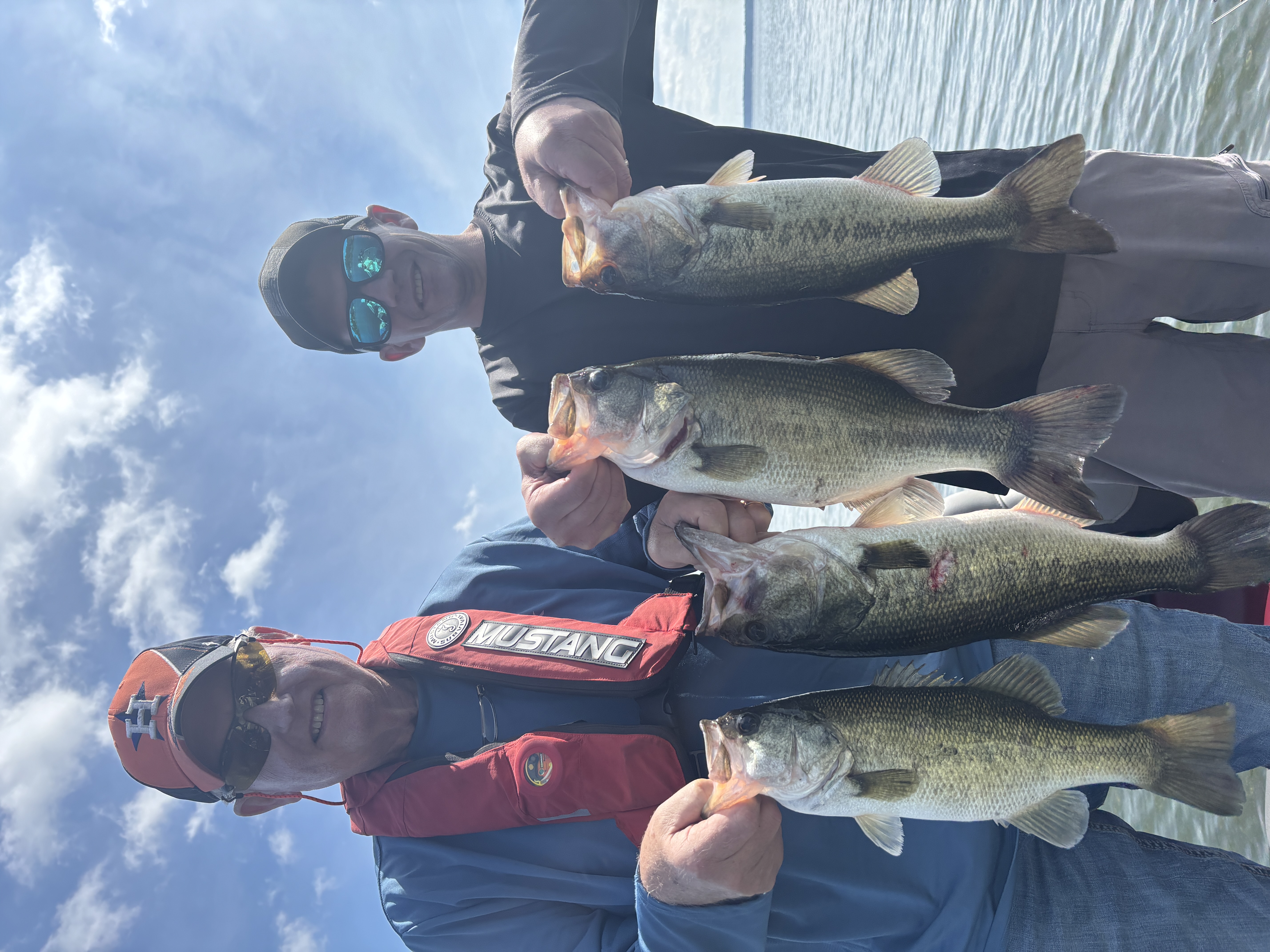 Four large bass caught fishing in Willis TX displayed together